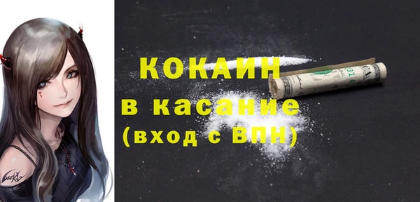сатива Вязники