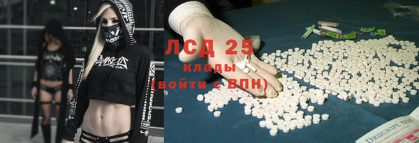 PSILOCYBIN Вяземский