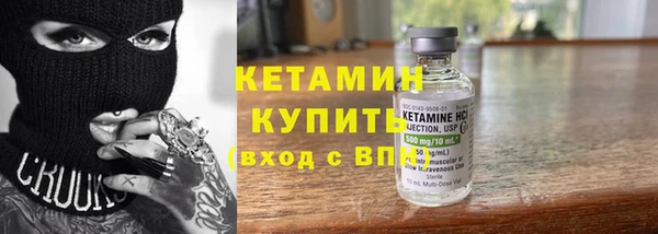 прущие грибы Вязьма