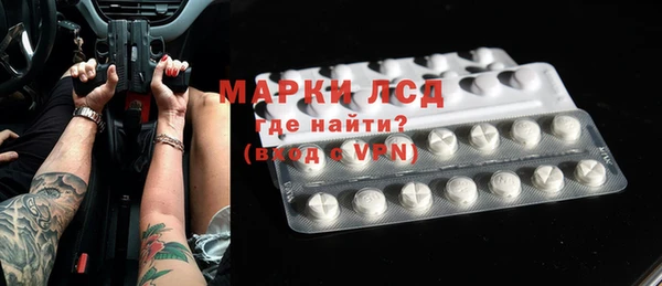 PSILOCYBIN Вяземский