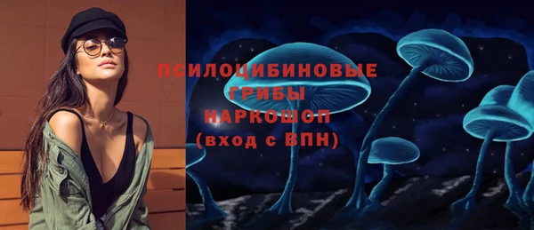 a pvp Горнозаводск