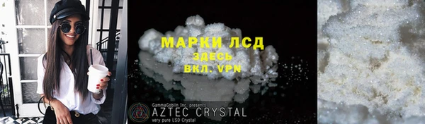 PSILOCYBIN Вяземский