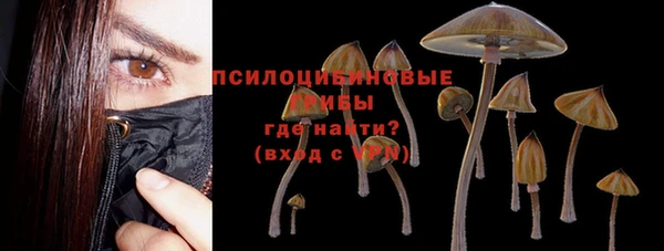 сатива Вязники