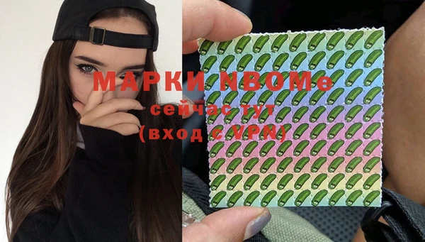 2c-b Гусев