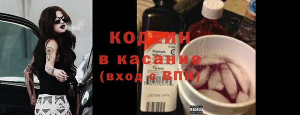 PSILOCYBIN Вяземский