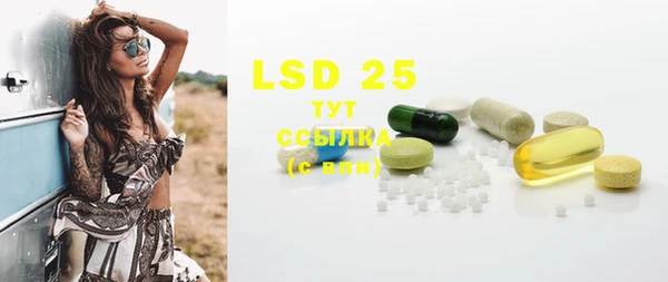 прущие грибы Вязьма