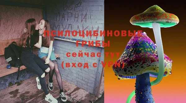 PSILOCYBIN Вяземский