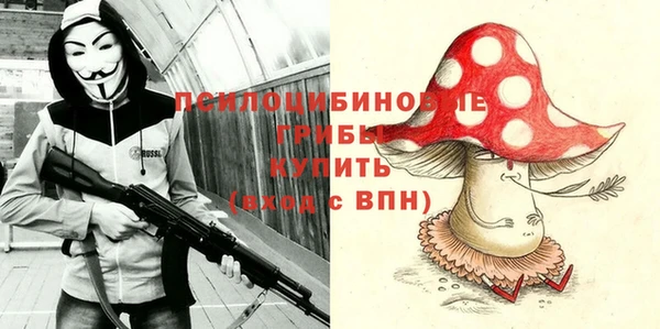 сатива Вязники