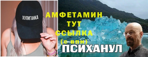 PSILOCYBIN Вяземский