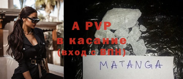 прущие грибы Вязьма