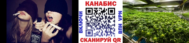 Шишки марихуана гибрид  ссылка на мегу онион  Елабуга 